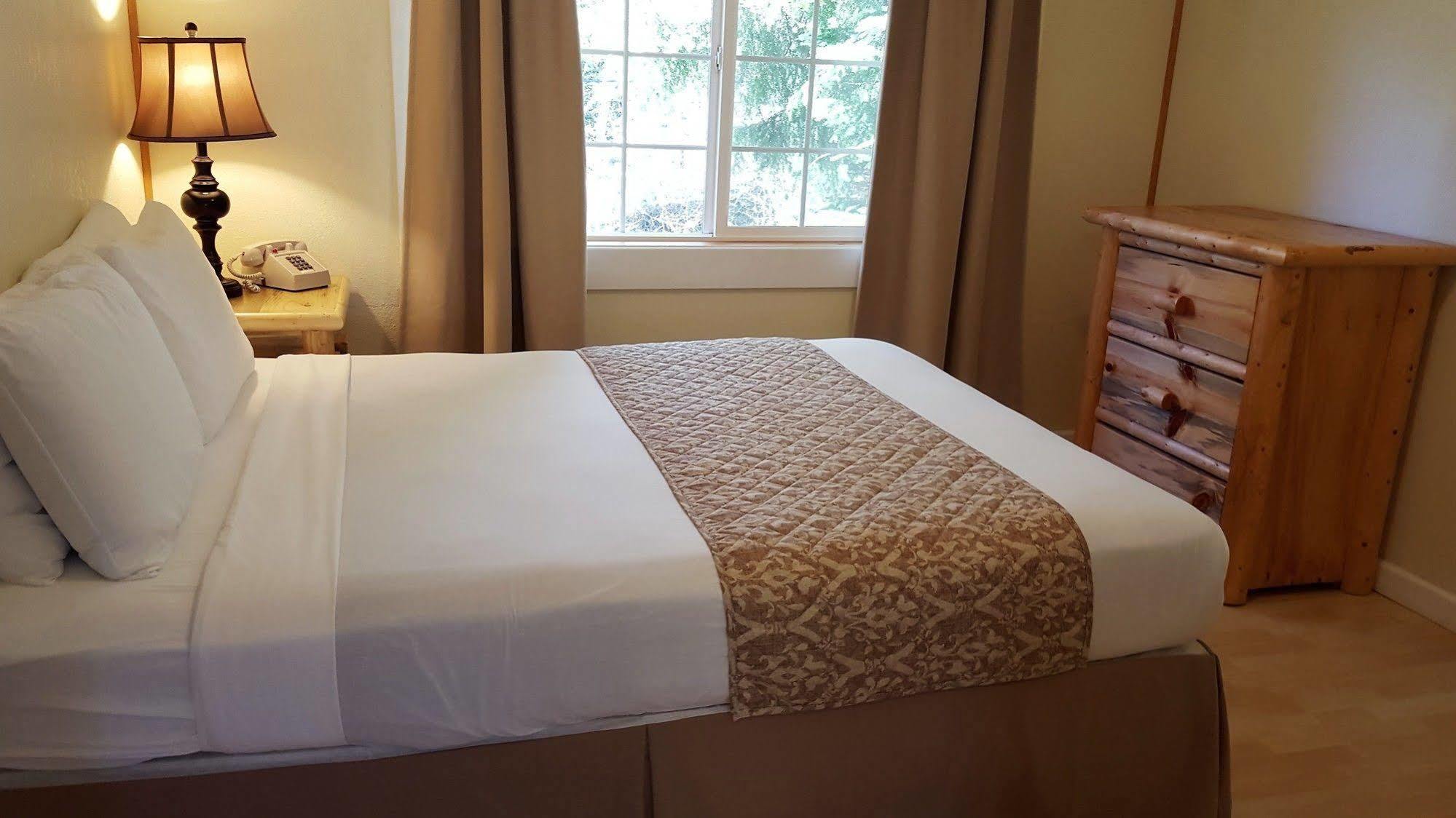 Mountain View Lodge - No Pets Allowed Packwood Eksteriør bilde